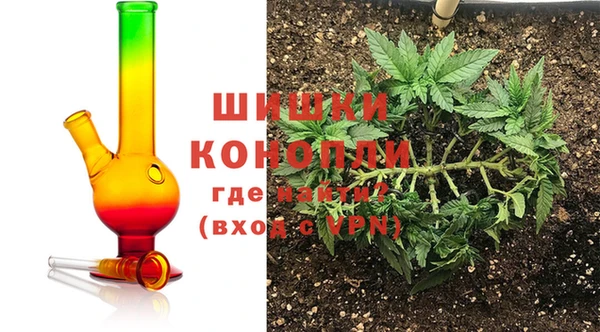 ПСИЛОЦИБИНОВЫЕ ГРИБЫ Алзамай