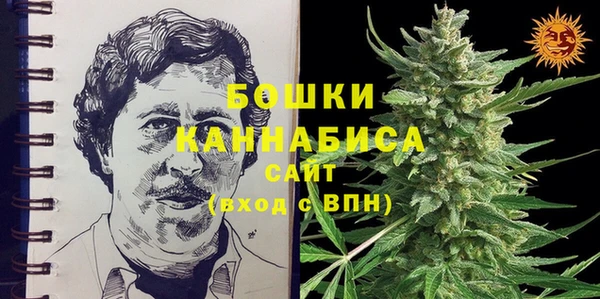 ПСИЛОЦИБИНОВЫЕ ГРИБЫ Алзамай
