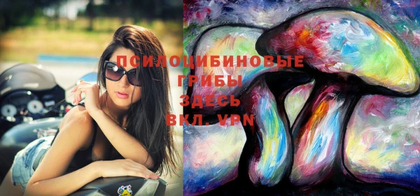 ПСИЛОЦИБИНОВЫЕ ГРИБЫ Алзамай