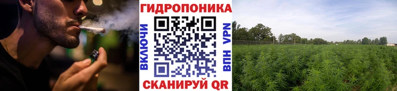 как найти наркотики  mega онион  Канабис Amnesia  Шелехов 
